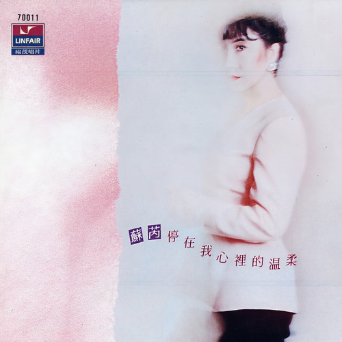 爱过很多人 - 苏芮