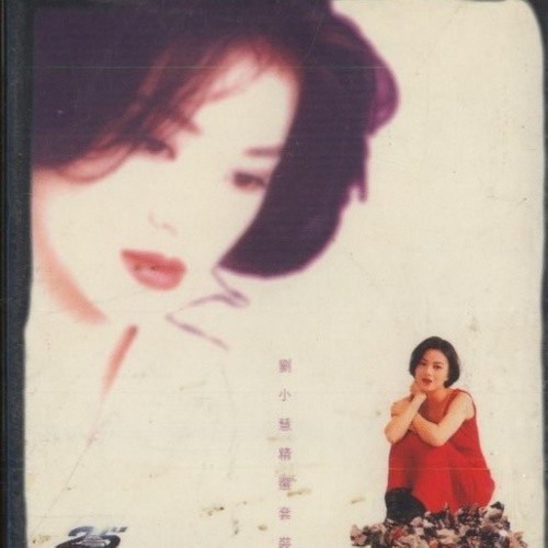紫色百合 - 刘小慧