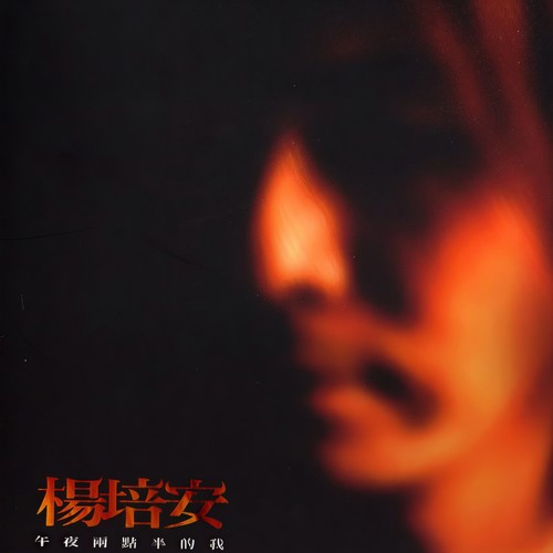 风中的羽翼 - 杨培安